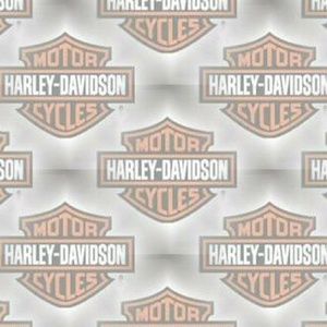 Meet your Posher, Vincent